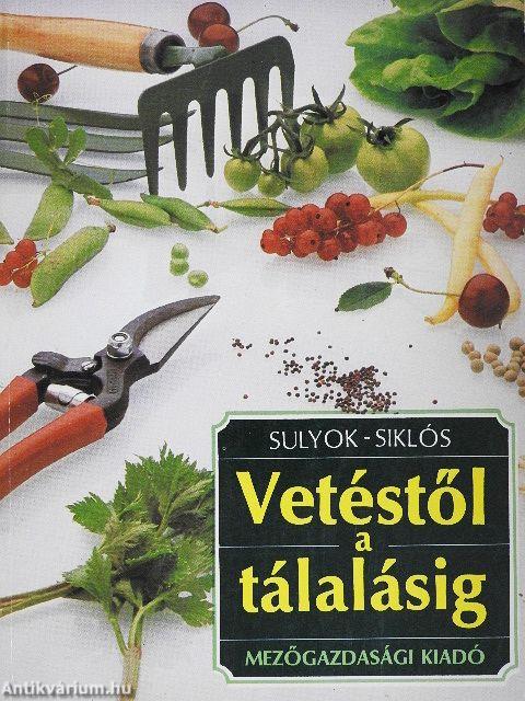 Vetéstől a tálalásig