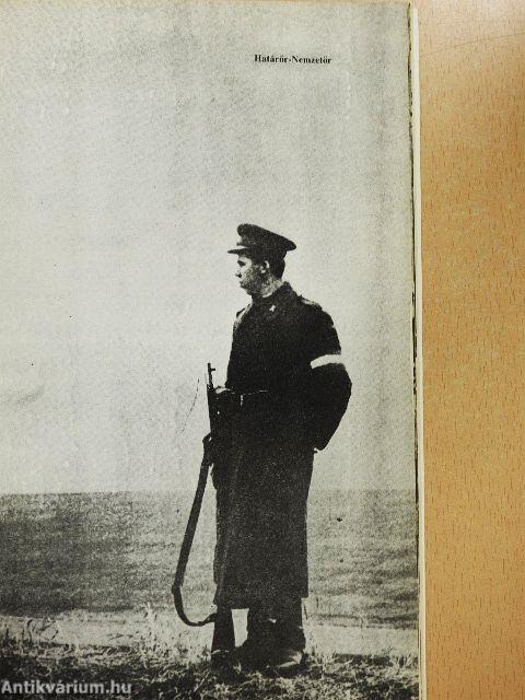 Hadsereg vezetés nélkül