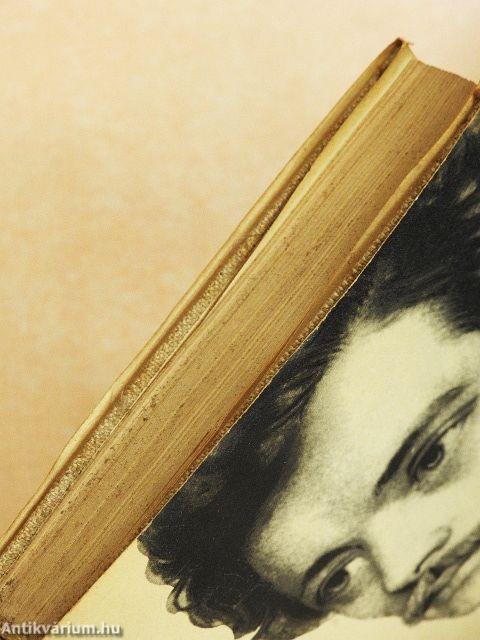 Petőfi diáktársaságai