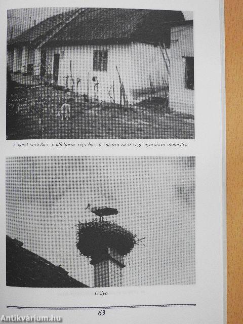 Tiszabábolna története és néprajza