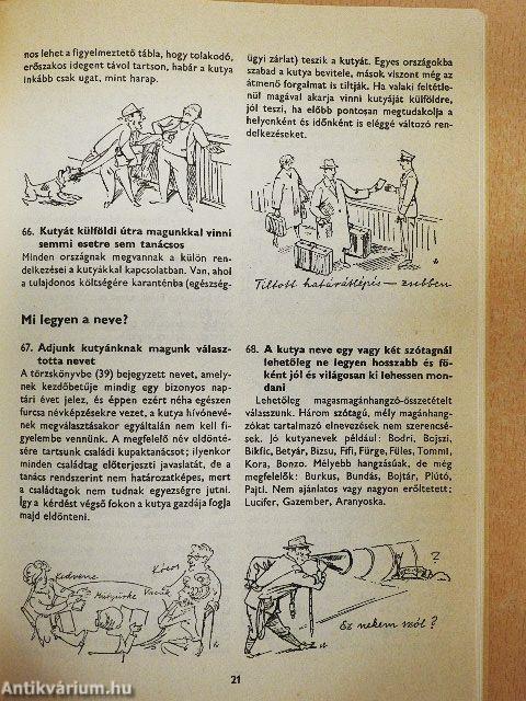 400 tanács kutyakedvelőknek