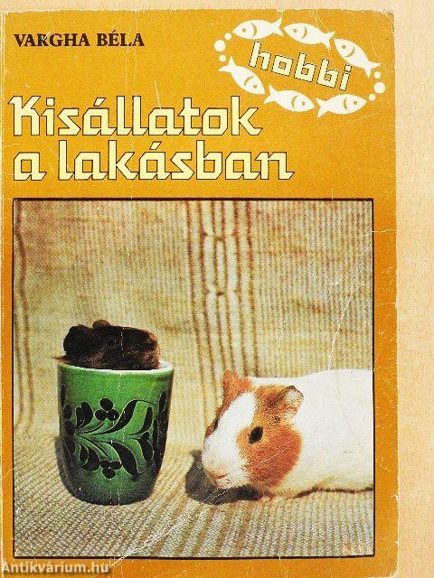 Kisállatok a lakásban