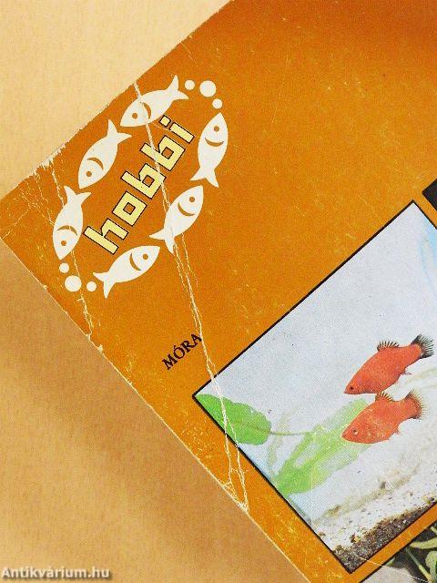 Kisállatok a lakásban