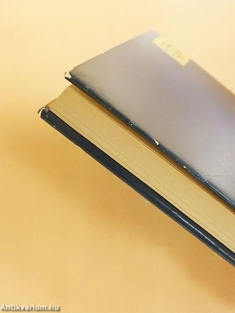 Egzisztencia és valóság