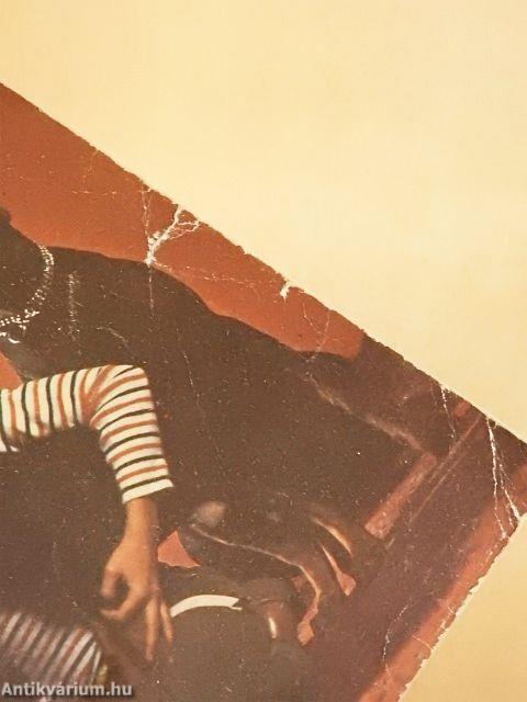 Barátunk a dobermann