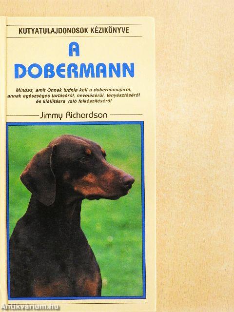 A dobermann
