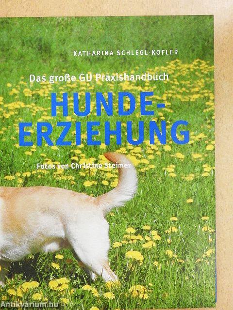 Hunde-Erziehung
