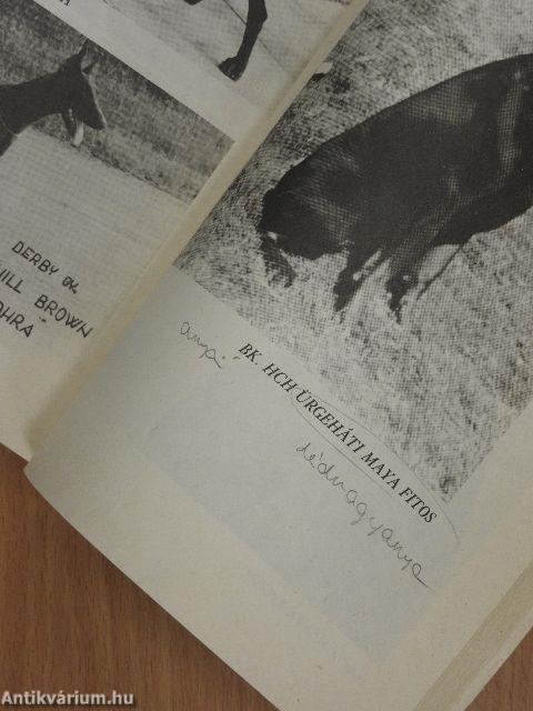 Barátunk a dobermann