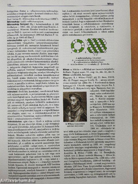 Magyar Nagylexikon 13. (töredék)