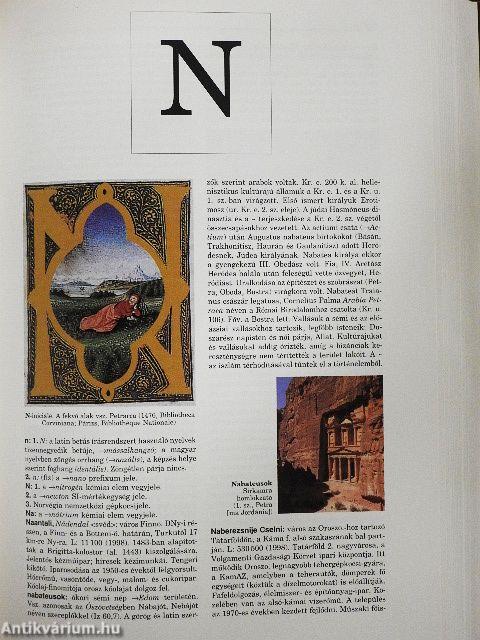 Magyar Nagylexikon 13. (töredék)