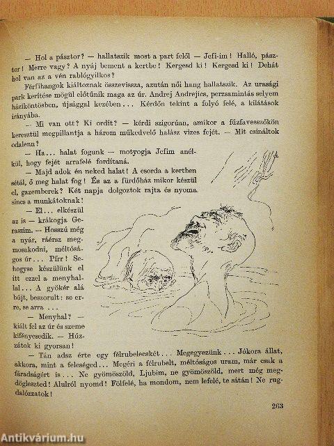 Kerek egy esztendő 1956.