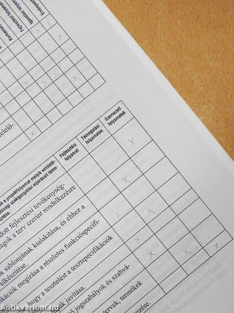 Példatár a gazdasági informatika alapjaihoz