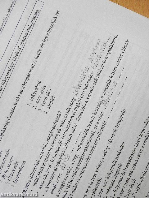 Példatár a gazdasági informatika alapjaihoz