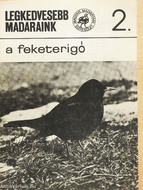 A feketerigó