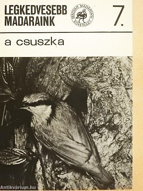 A csuszka