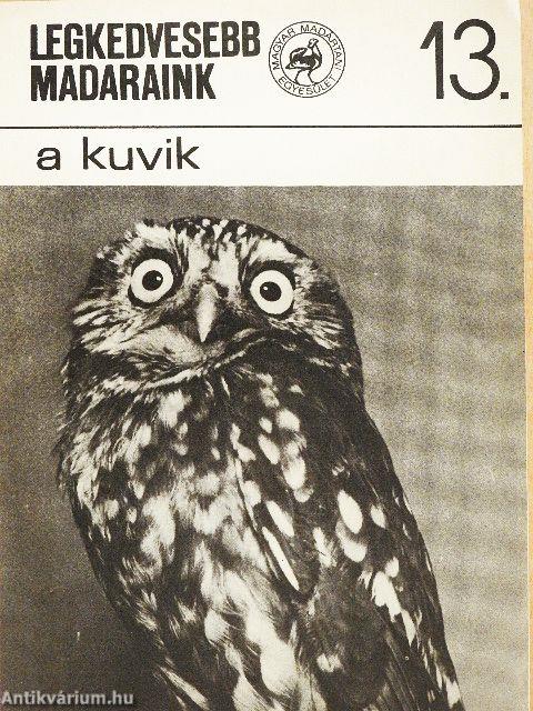 A kuvik