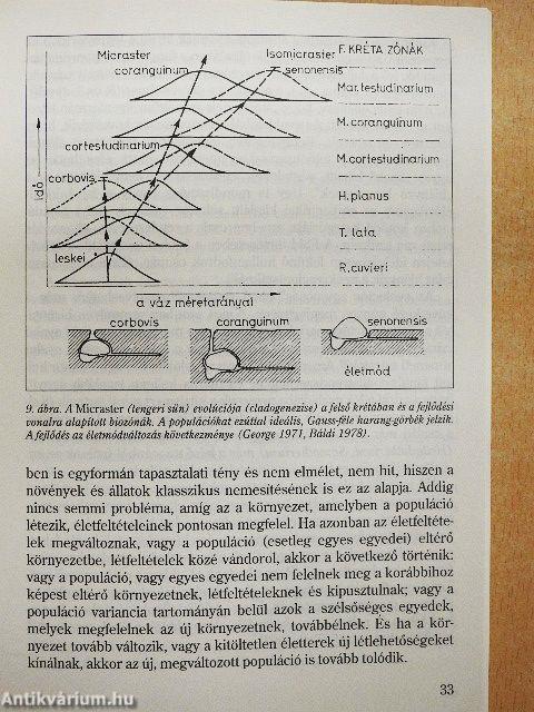 Elmosta-e az evolúciót az özönvíz?