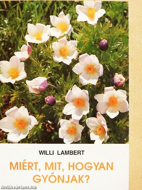 Miért, mit, hogyan gyónjak?