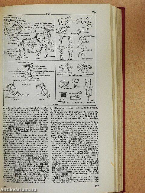 Der Sprach-Brockhaus