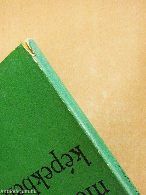 A magyar mezőgazdaság képekben 1945-1970