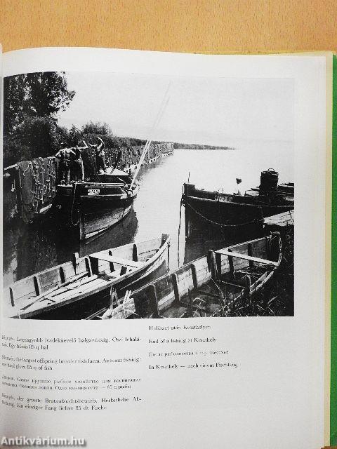 A magyar mezőgazdaság képekben 1945-1970