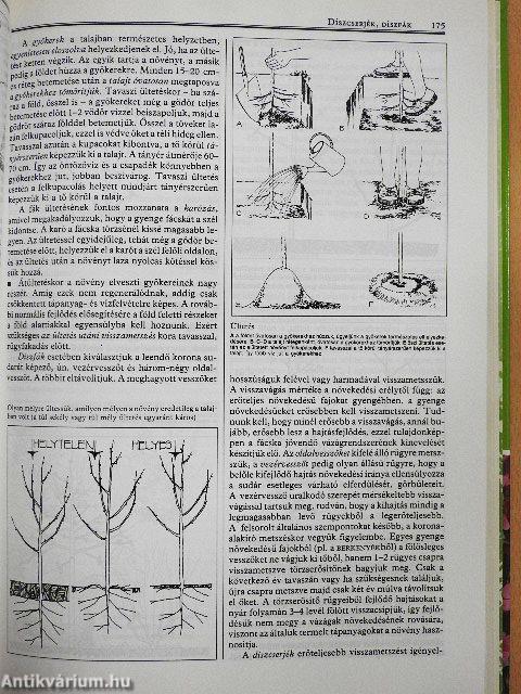 Virágoskert, pihenőkert