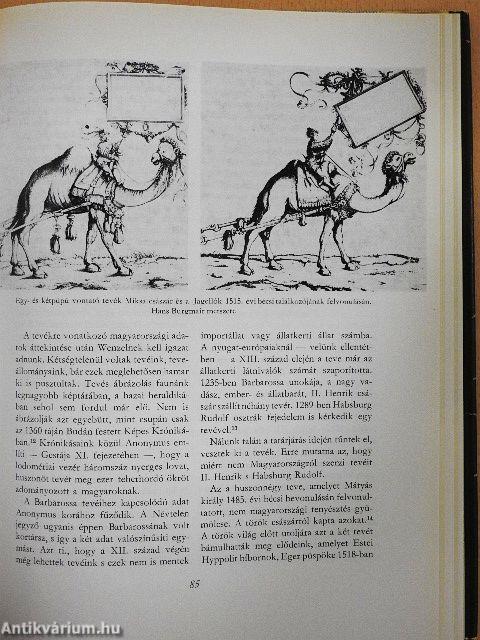 Vadászatok a régi Magyarországon