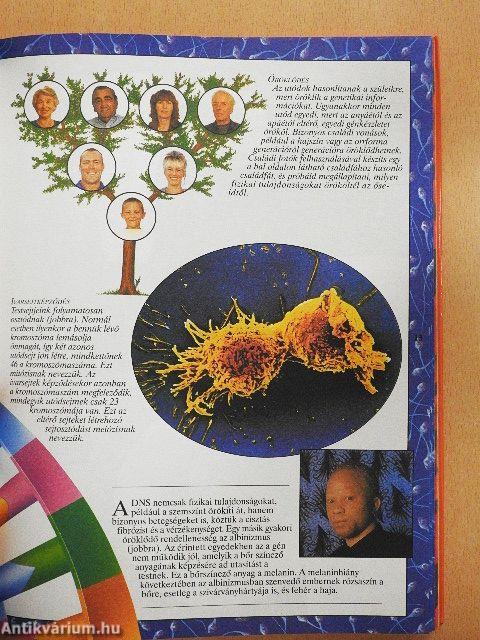 Az emberi test enciklopédiája II.