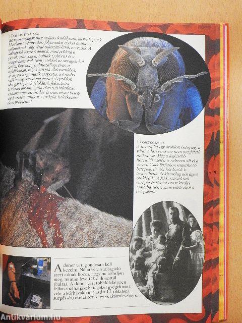 Az emberi test enciklopédiája II.