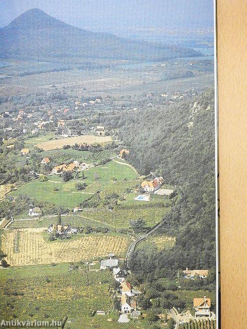 Balatoni borok