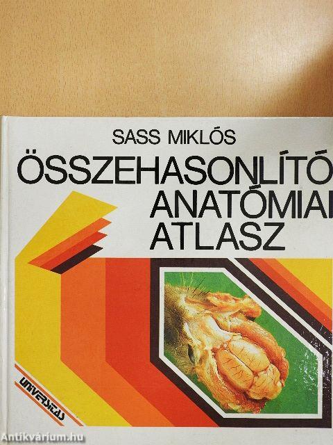 Összehasonlító anatómiai atlasz