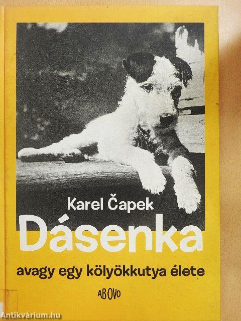 Dásenka