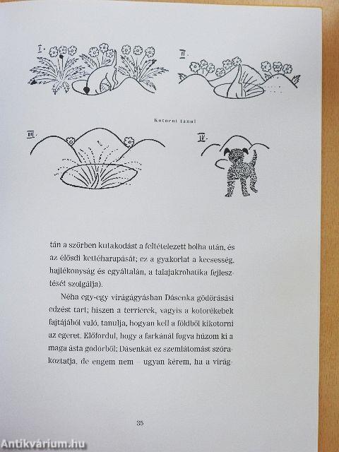 Dásenka