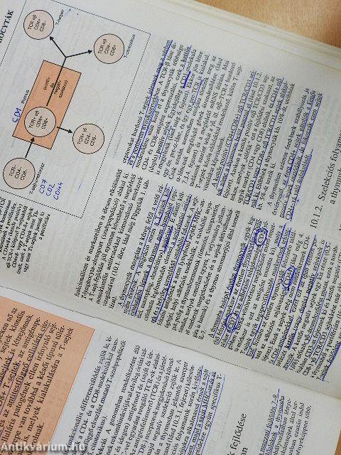 Az immunológia élettani és molekuláris alapjai
