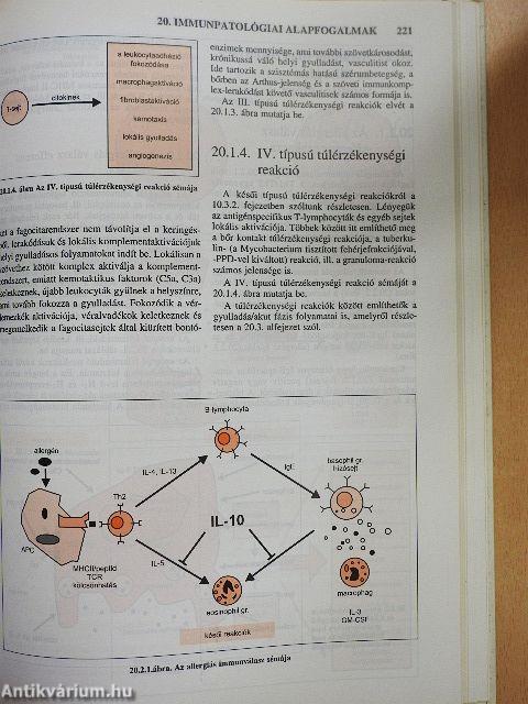 Az immunológia élettani és molekuláris alapjai
