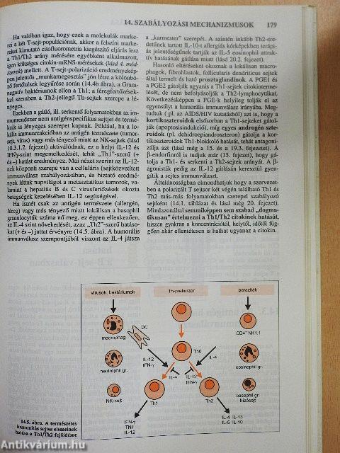 Az immunológia élettani és molekuláris alapjai