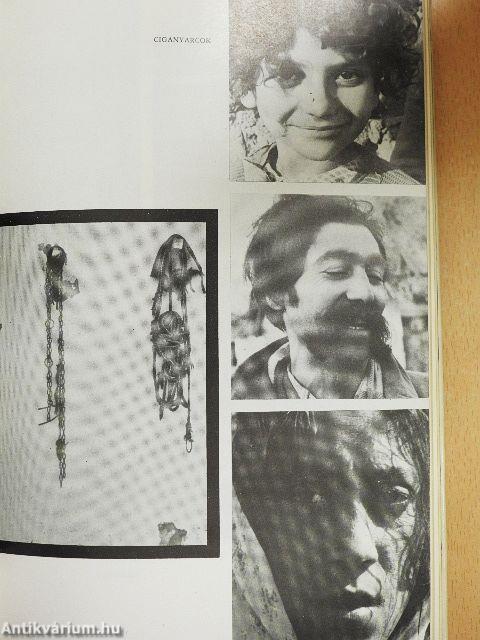 Erdőháton, Nyíren