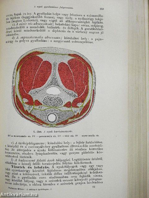 A sebészet tankönyve I-II.