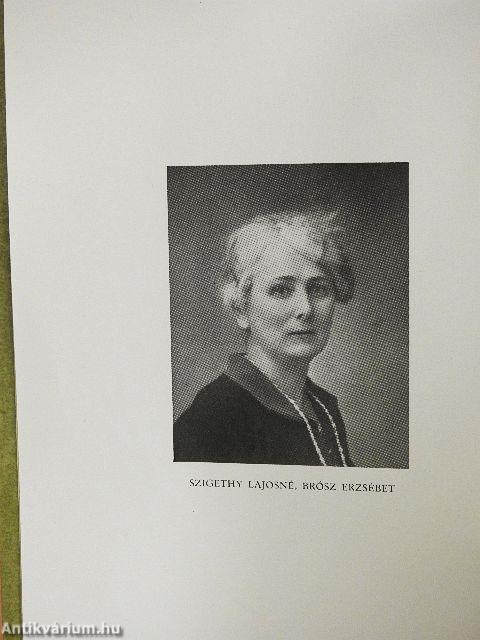 Zúzmarás fenyőlombok