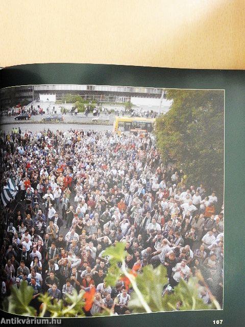 Görbicz Anita arcai