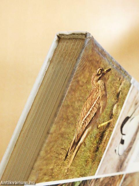 Magyarország fészkelő madarai