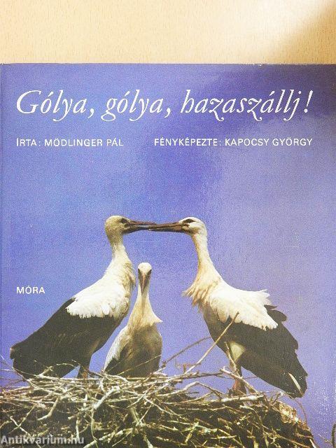 Gólya, gólya, hazaszállj!