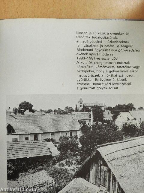 Gólya, gólya, hazaszállj!