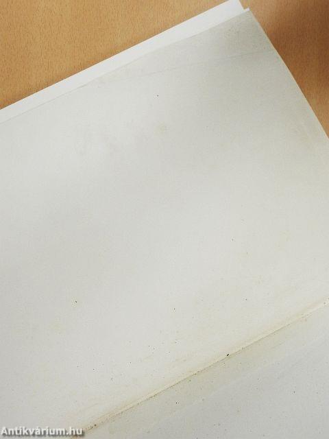 Magyar Anjou legendárium