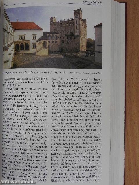 Magyar Művelődéstörténeti Lexikon X.