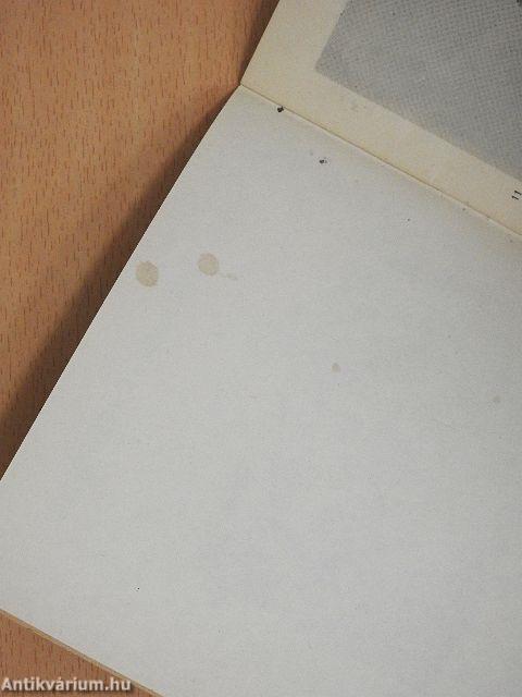 Bildtonmaschine Dresden D 21