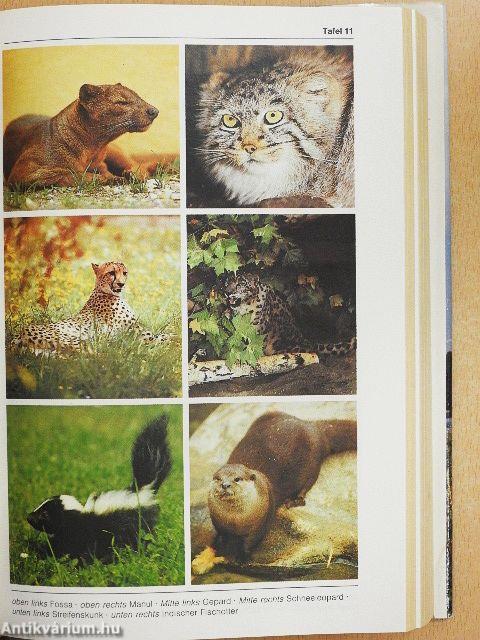 BI-Lexikon: Zootiere