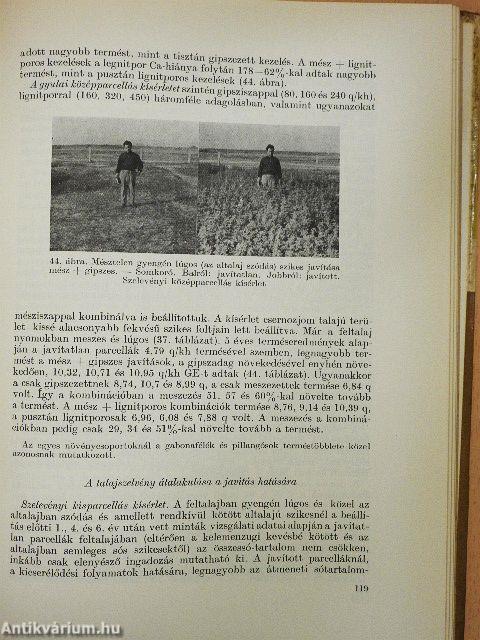 Hazai szikesek javítása és hasznosítása