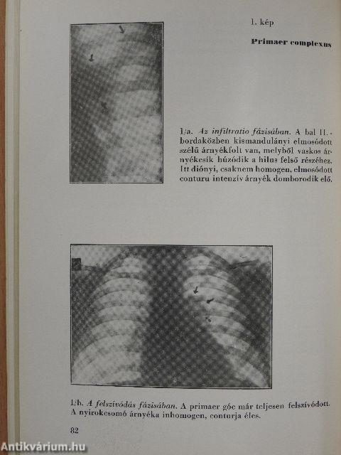 Gyógyszereink 1951. május