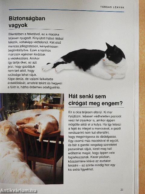 Mit gondol a macskám?